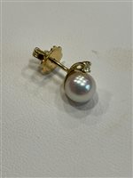 Orecchini Salvini Donna in Oro giallo Perla 46508503 - 46508503